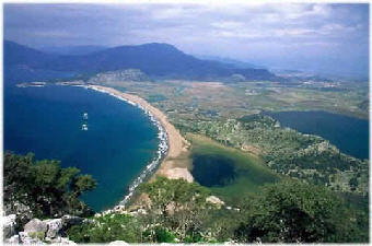 img2521.jpg