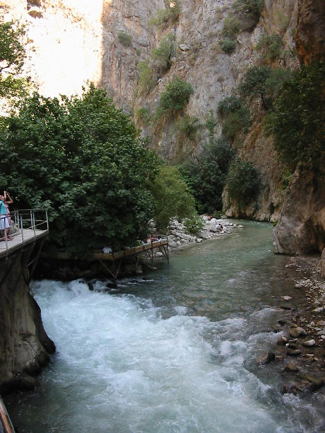 img2559.jpg