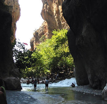 img2560.jpg