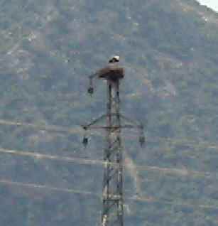 img2578.jpg