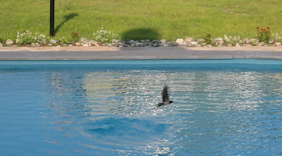 img2579.jpg