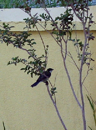 img2580.jpg
